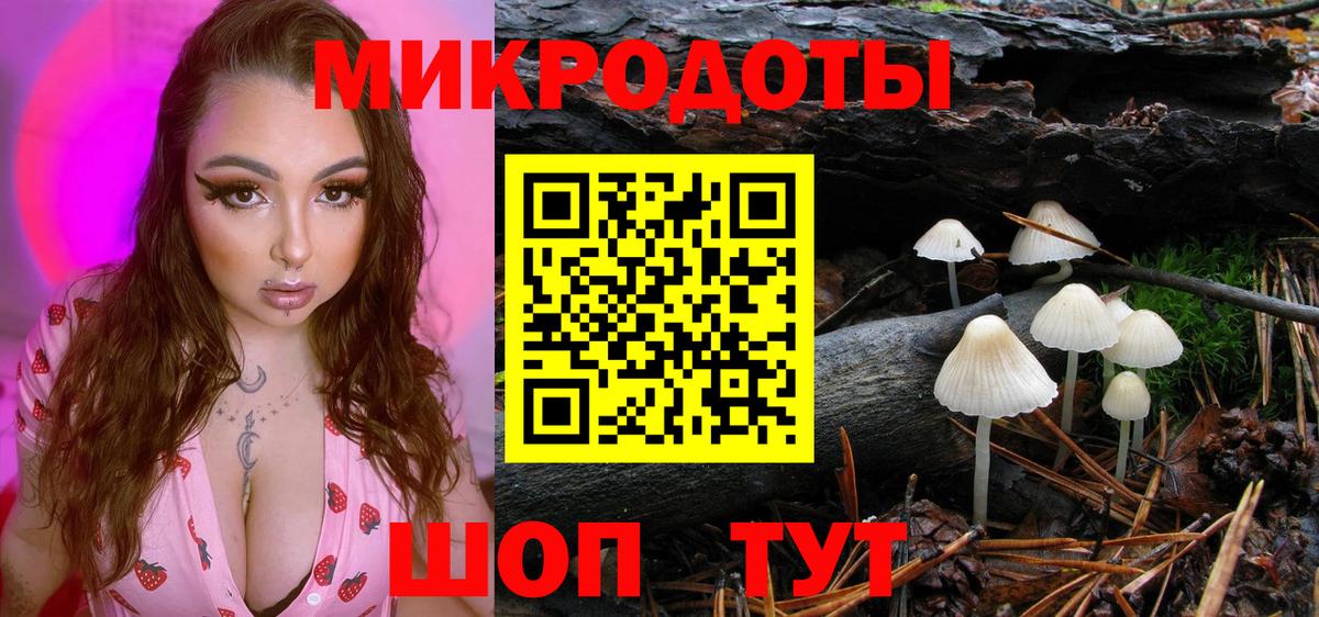 Галлюциногенные грибы Cubensis Сергиев Посад