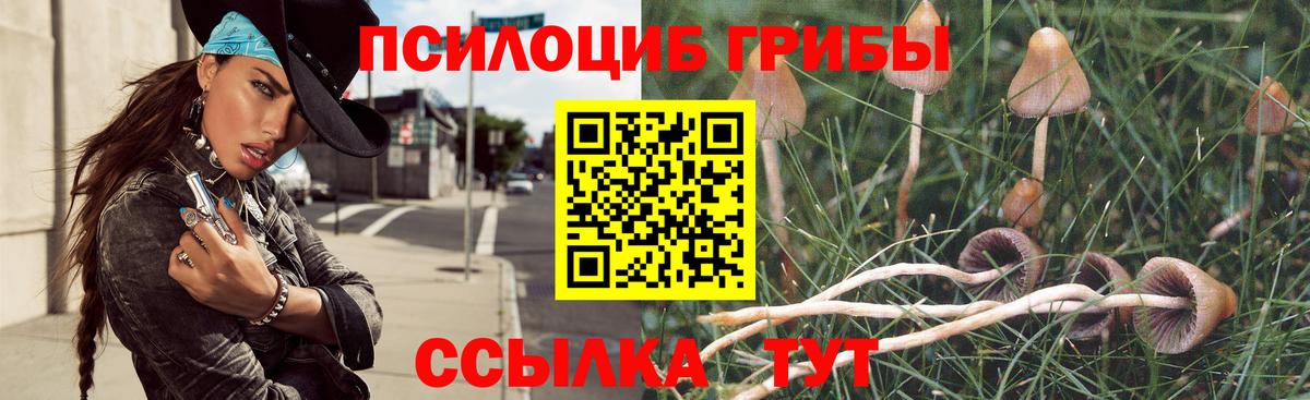 Галлюциногенные грибы Magic Shrooms  Вход с VPN  Сергиев Посад  Галлюциногенные грибы Psilocybe 